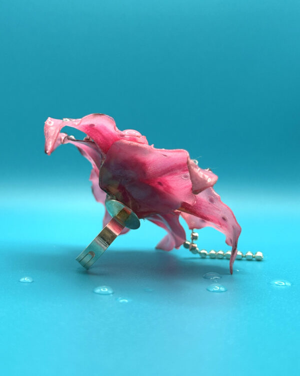 LILY RING - Daiquiri - Imagen 2