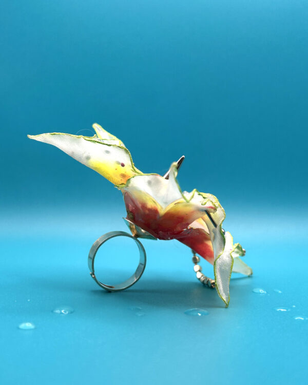 LILY RING - Honolulu - Imagen 3